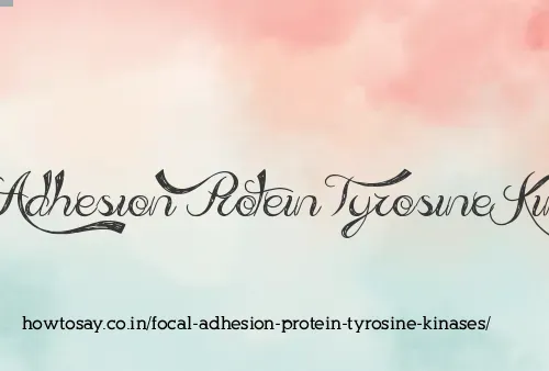 Focal Adhesion Protein Tyrosine Kinases