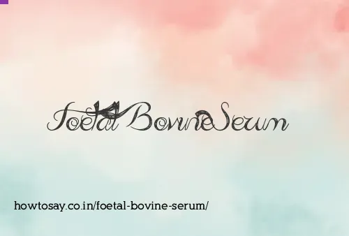 Foetal Bovine Serum