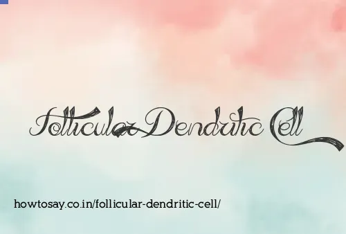 Follicular Dendritic Cell