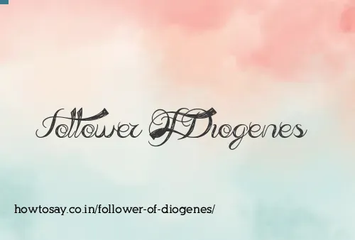 Follower Of Diogenes