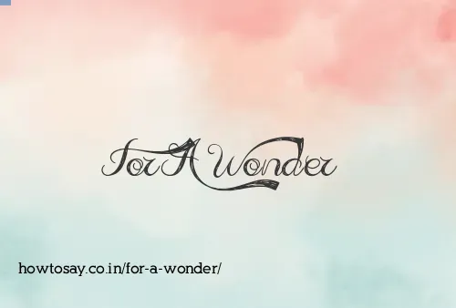 For A Wonder