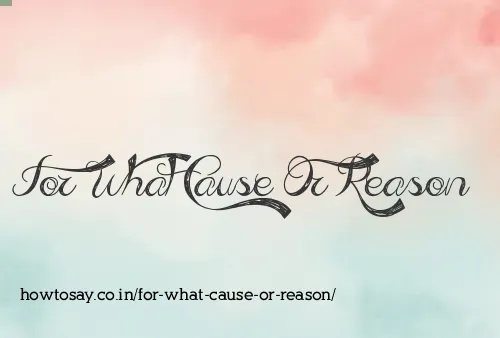 For What Cause Or Reason