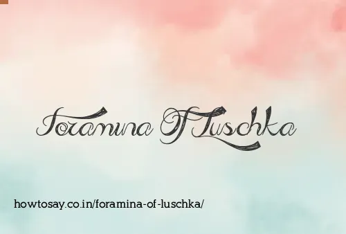 Foramina Of Luschka