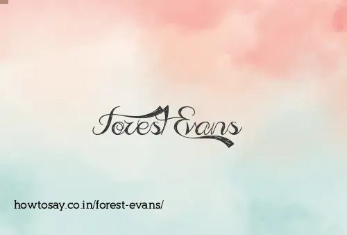 Forest Evans