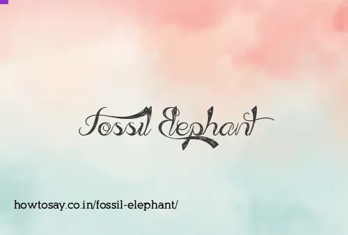 Fossil Elephant
