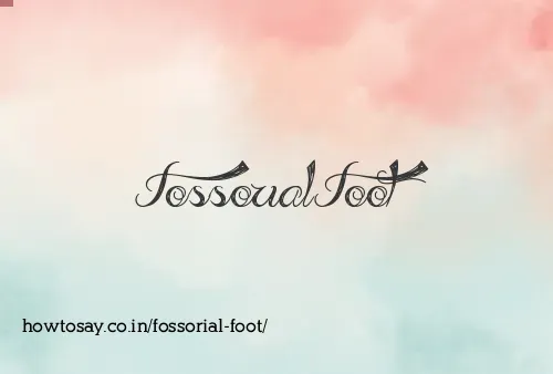 Fossorial Foot