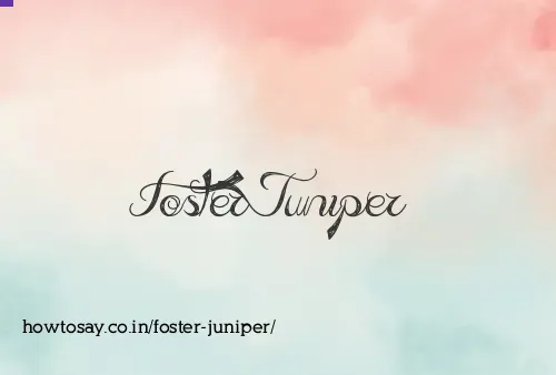 Foster Juniper