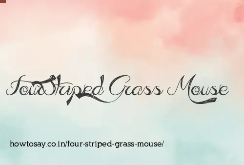 Four Striped Grass Mouse
