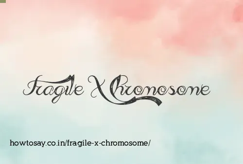 Fragile X Chromosome