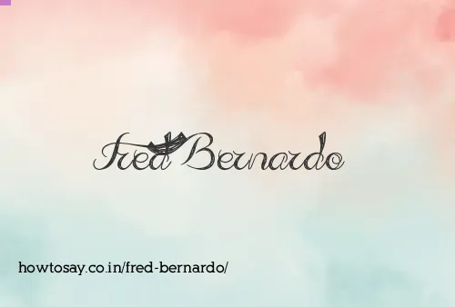 Fred Bernardo
