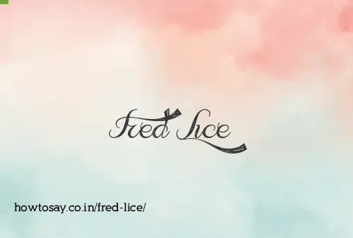 Fred Lice