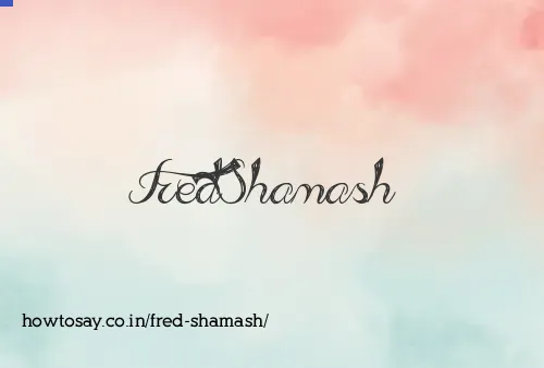 Fred Shamash