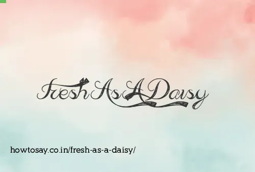 Fresh As A Daisy