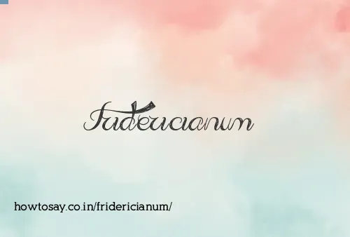 Fridericianum