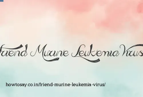Friend Murine Leukemia Virus