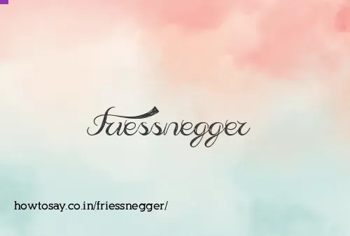 Friessnegger