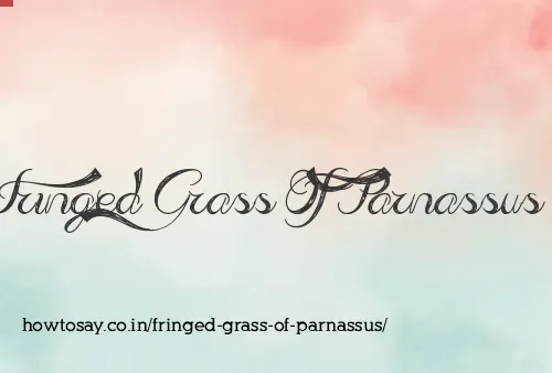 Fringed Grass Of Parnassus