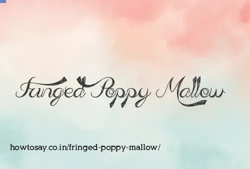 Fringed Poppy Mallow