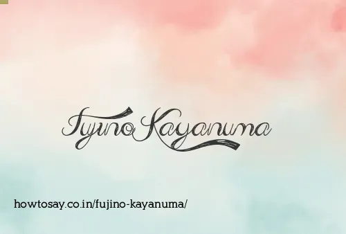 Fujino Kayanuma