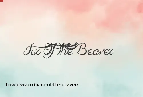 Fur Of The Beaver