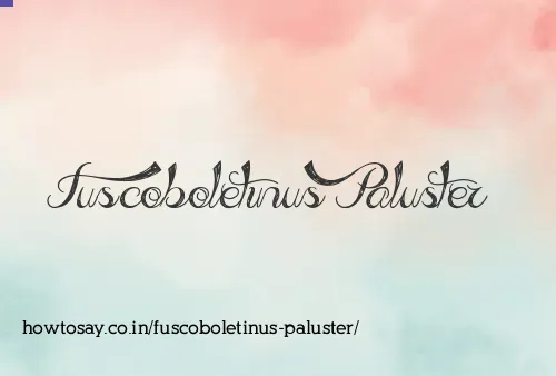 Fuscoboletinus Paluster