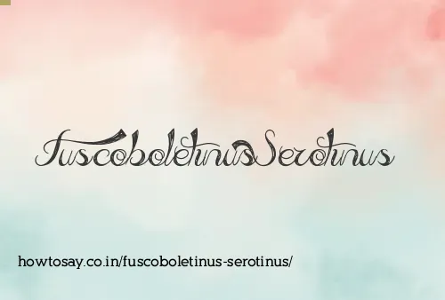 Fuscoboletinus Serotinus