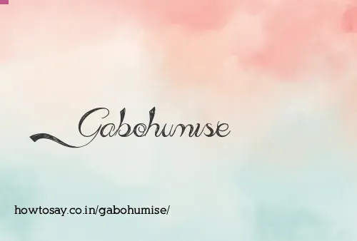 Gabohumise