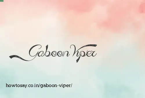 Gaboon Viper