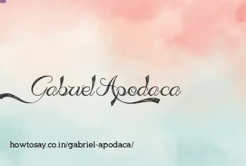 Gabriel Apodaca