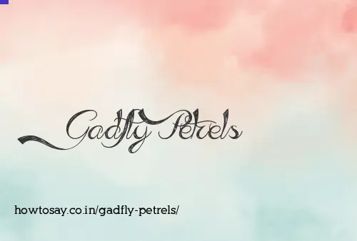 Gadfly Petrels