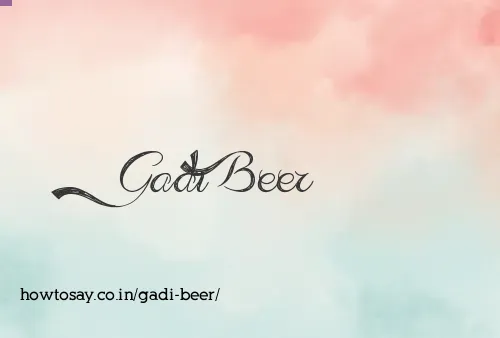Gadi Beer