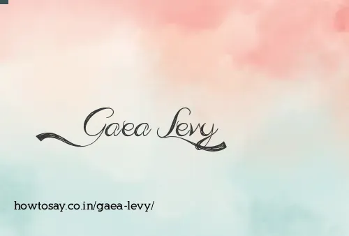 Gaea Levy
