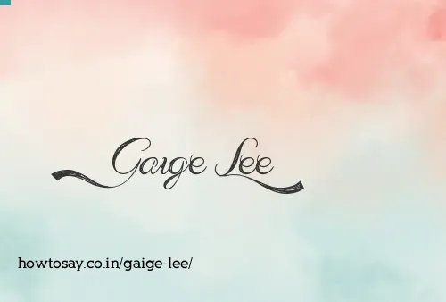 Gaige Lee