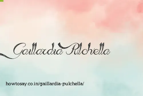 Gaillardia Pulchella