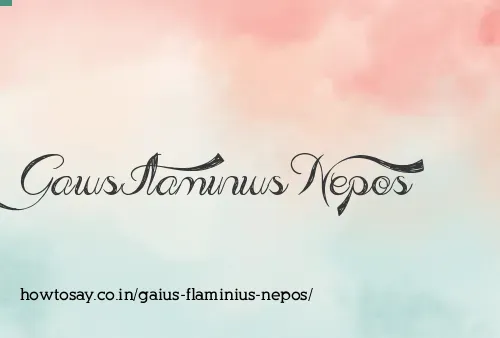 Gaius Flaminius Nepos
