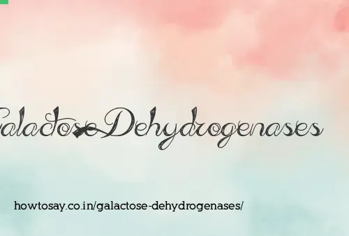 Galactose Dehydrogenases