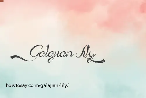 Galajian Lily