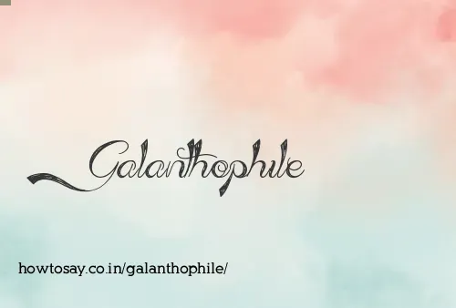 Galanthophile