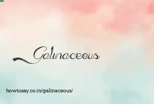 Galinaceous