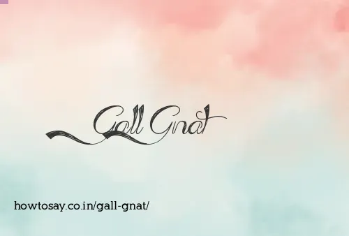 Gall Gnat