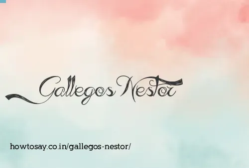Gallegos Nestor