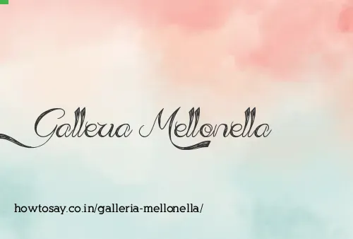 Galleria Mellonella