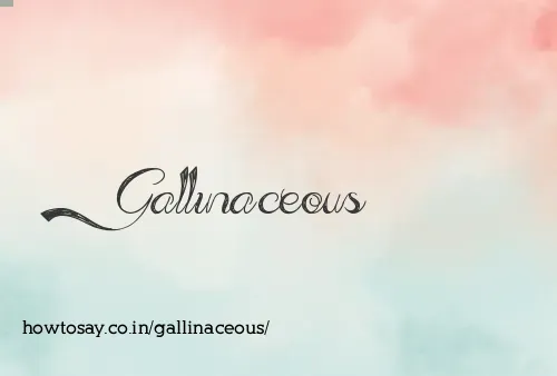 Gallinaceous