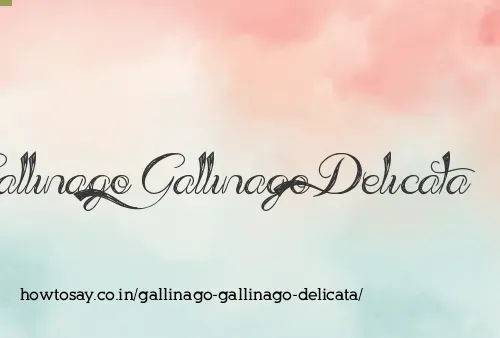 Gallinago Gallinago Delicata