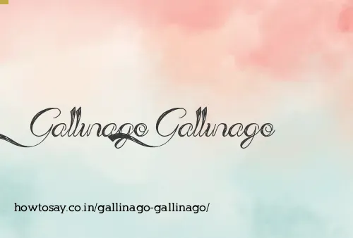 Gallinago Gallinago