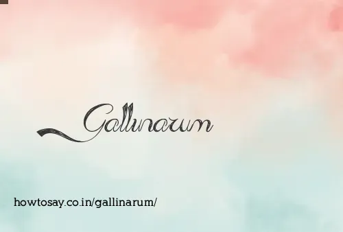 Gallinarum