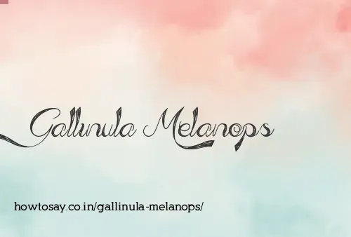 Gallinula Melanops