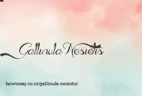 Gallinula Nesiotis