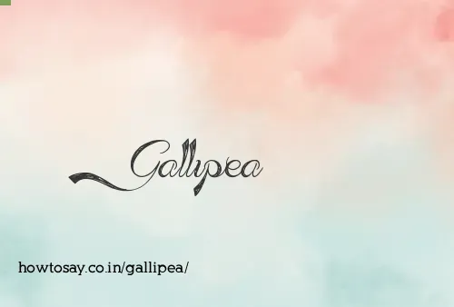 Gallipea