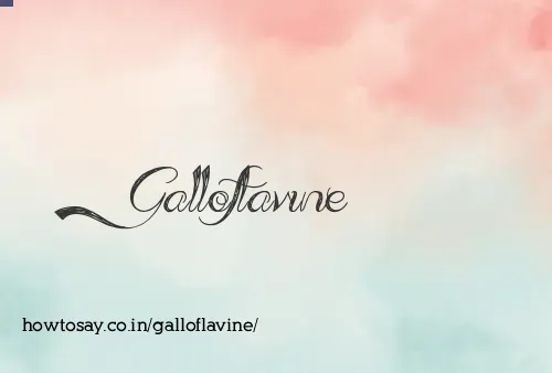Galloflavine